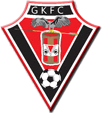Gavião Kyikatejê